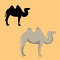 Camel flat style vector illustration silhouette Royalty Free Stock Photo