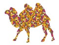 Camel with flowers.