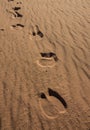 Camel foot prints in Wadi Rum desert Royalty Free Stock Photo