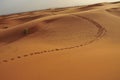 Camel footprint on the dunes in the desert
