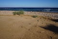 Camel footprints in the sand. Dahab, South Sinai Governorate, Egypt