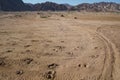 Camel footprints in the sand. Dahab, South Sinai Governorate, Egypt