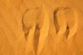 Camel footprints in the sand Sahara Desert