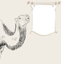 Camel and frame Royalty Free Stock Photo