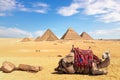 A camel in front of the Egyptian Pyramids, Giza, Egypt Royalty Free Stock Photo