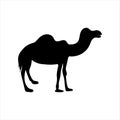 Camel graphic icon. Camel black sign isolated on white background. Camel symbol of desert. Royalty Free Stock Photo