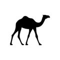 Camel graphic icon isolated on white background