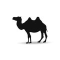 Camel graphic icon vector isolated on white background Royalty Free Stock Photo