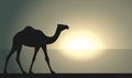 Camel graphic sign at sunrise or sunset background