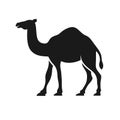 Camel Graphic Silhouette Logo