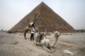 Camel at Great Pyramid of Egypt Royalty Free Stock Photo