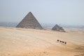 Camel at Great Pyramids of Giza Royalty Free Stock Photo