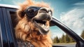 Joyful camel enjoys car ride, head out window with glasses, Ai Generated Royalty Free Stock Photo