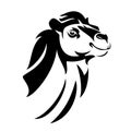 Camel head black and white vector outline portrait Royalty Free Stock Photo