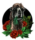 Camel head with grass in mouth round composition with flowers and rose leaves