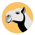 Camel head vector illustration, lining draw,profile Royalty Free Stock Photo