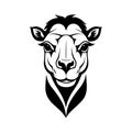 Camel head vector logo template on white background. Camels head vector logo template Royalty Free Stock Photo