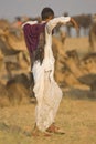 Camel Herder Royalty Free Stock Photo