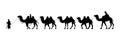 Camel Herder Silhouette illustration. Camel Caravan Silhouette