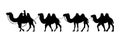 Camel Herder Silhouette illustration. Camel Caravan Silhouette