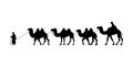 Camel Herder Silhouette illustration. Camel Caravan Silhouette Royalty Free Stock Photo