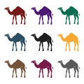 Camel icon in black style on white background. Arab Emirates symbol stock vector illustration.