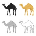 Camel icon in cartoon style isolated on white background. Arab Emirates symbol stock vector illustration. Royalty Free Stock Photo