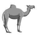 Camel icon, gray monochrome style Royalty Free Stock Photo