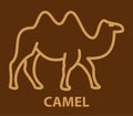 Camel icon in linear style