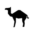 Camel icon or logo isolated sign symbol vector illustration Royalty Free Stock Photo