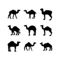 Camel icon or logo isolated sign symbol vector illustration Royalty Free Stock Photo