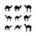 Camel icon or logo isolated sign symbol vector illustration Royalty Free Stock Photo