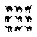 Camel icon or logo isolated sign symbol vector illustration Royalty Free Stock Photo