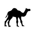 Camel icon or logo isolated sign symbol vector illustration Royalty Free Stock Photo