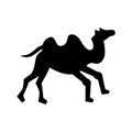 Camel icon or logo isolated sign symbol vector illustration Royalty Free Stock Photo