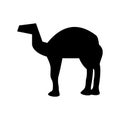 Camel icon or logo isolated sign symbol vector illustration Royalty Free Stock Photo