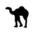 Camel icon or logo isolated sign symbol vector illustration Royalty Free Stock Photo