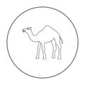 Camel icon in outline style isolated on white background. Arab Emirates symbol stock vector illustration. Royalty Free Stock Photo