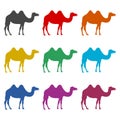 Camel icon silhouette logo, color set Royalty Free Stock Photo