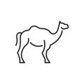 Camel icon Royalty Free Stock Photo