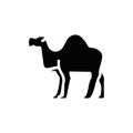 Camel icon. Simple style Camel travel poster background symbol. Camel brand logo design element. Camel t-shirt printing. vector