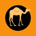 Camel colorful icon