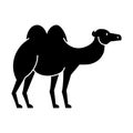 Camel icon, vector illustration, sign on isolated background Royalty Free Stock Photo