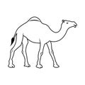 Camel icon