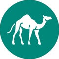 Camel icon vector image.