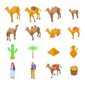 Camel icons set, isometric style
