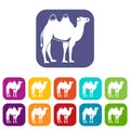 Camel icons set