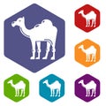 Camel icons vector hexahedron