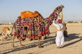 Camel and indian men participate in Desert Festival. Jaisalmer, Rajasthan, India