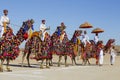 Camel and indian men wearing traditional Rajasthani dress participate in Mr. Desert contest as part of Desert Festival in Jaisalme